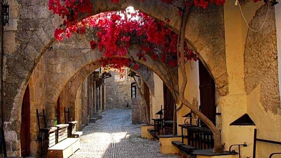 255 Rodos 