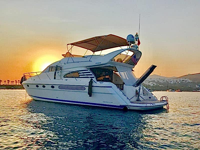 MOTORYAT ALEX